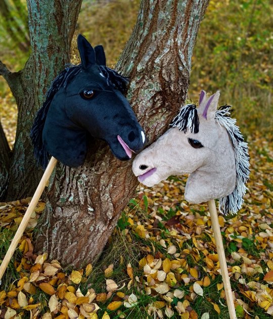 Din nye hobbyhorse