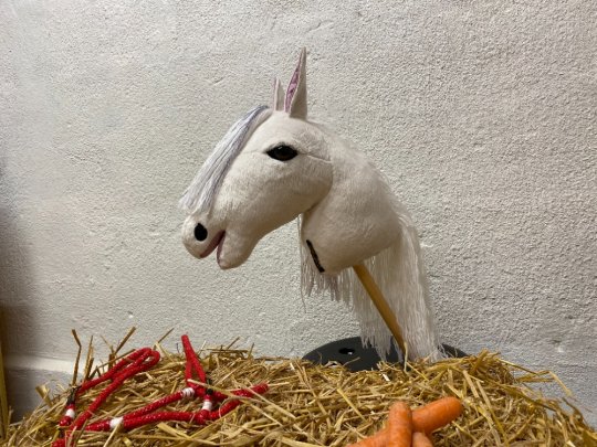 Pony Worlds My Fair Lady