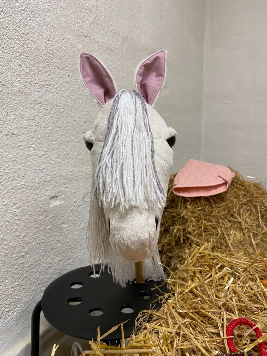 Pony Worlds My Fair Lady
