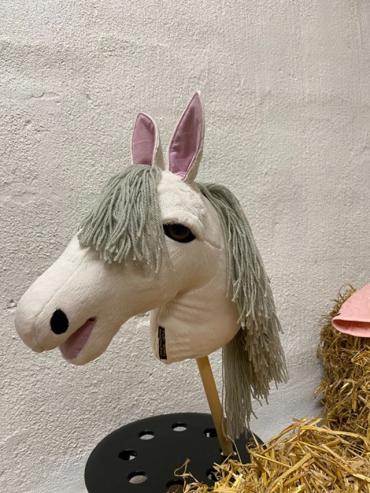 Pony Worlds Silver