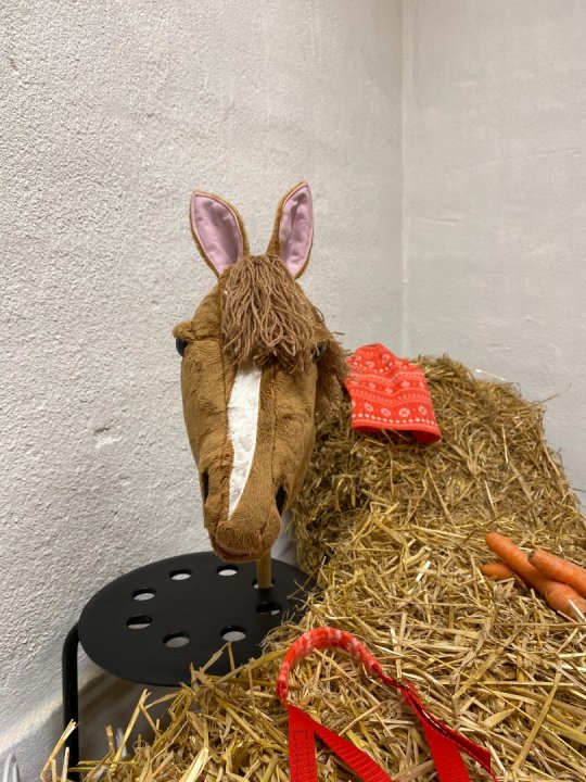 Pony Worlds Ginger