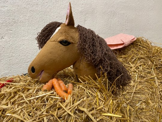 Pony Worlds Honey