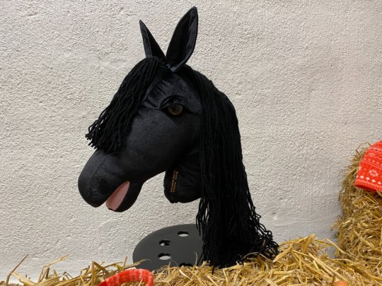 Pony Worlds Mr X
