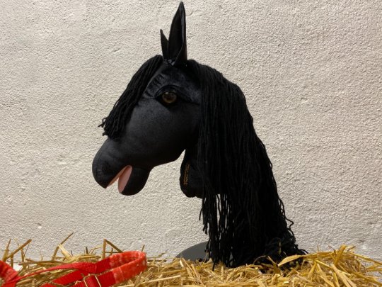 Pony Worlds Mr X