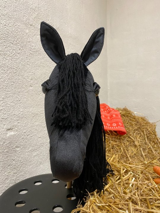 Pony Worlds Mr X