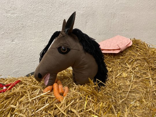 Pony Worlds Asterix