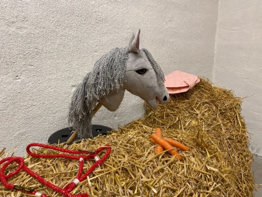 Pony Worlds Kalle