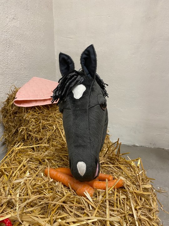Pony Worlds Grace