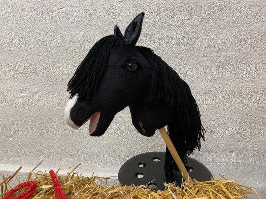 Pony Worlds Black Velvet