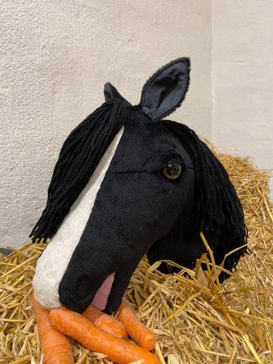 Pony Worlds Black Velvet
