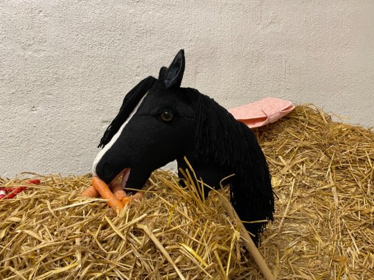 Pony Worlds Black Velvet