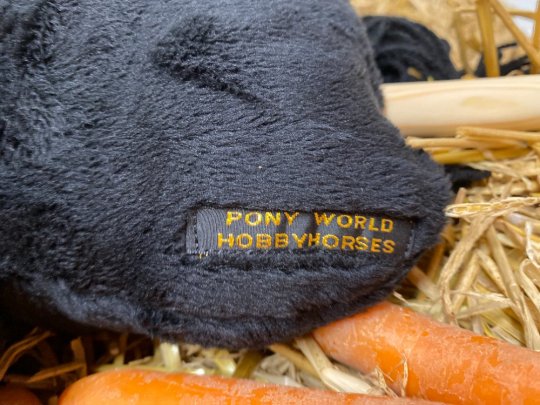 Pony Worlds Black Velvet