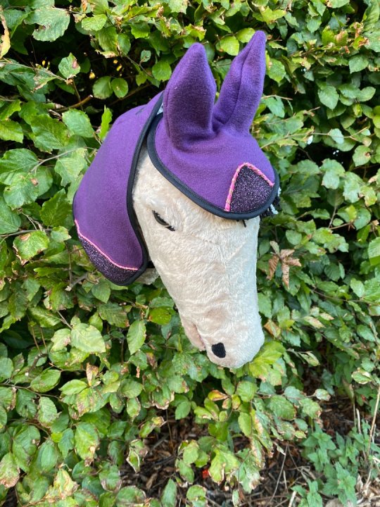 Special Edition-sæt  - Glimmer/lilla