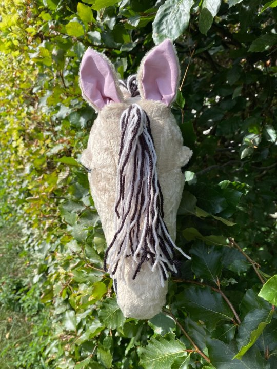 Pony Worlds Fjeller