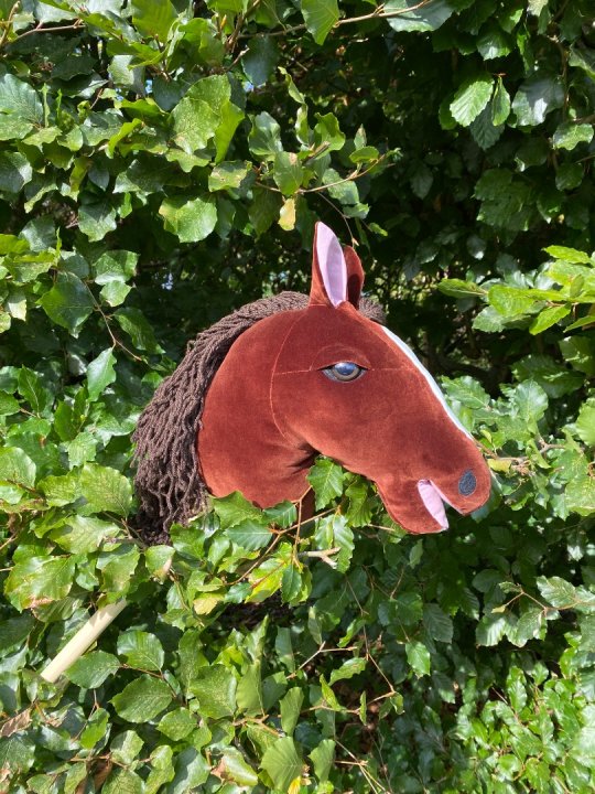 Pony Worlds Fantast